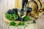 Najlepšie vína TERRA WAG 2021 sú známe, ochutnať ich budete môcť v septembri